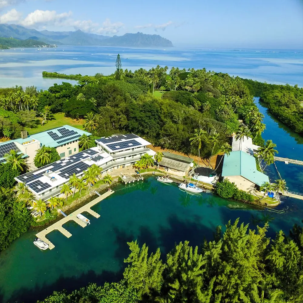 himb-facilities-glance A birds eye view of an academic institution located on a Hawaiian island, including multiple buildings with solar panels, a boating dock, and vibrant trees and waters.